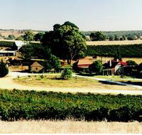 Irvine Wines - Foster Accommodation