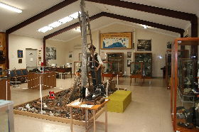  Foster Accommodation