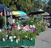 Meadows Monthly Market - Foster Accommodation
