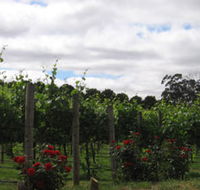 Manyara Vineyard - Foster Accommodation