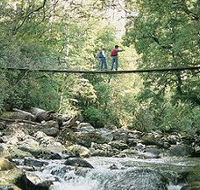 Arve Forest Drive - Foster Accommodation