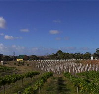 Deep Creek Wines and Alpacas - Foster Accommodation