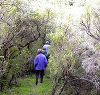 Jack And Hilda McArthur Walk - Foster Accommodation