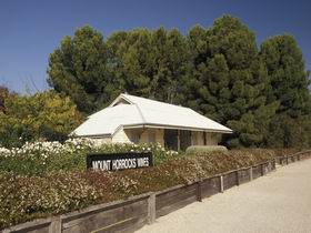  Foster Accommodation
