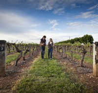 Coonawarra Wineries Walking Trail - Foster Accommodation