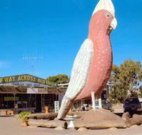 The Big Galah - Foster Accommodation
