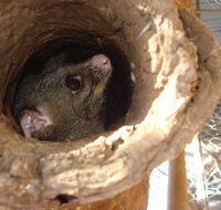 Mulga Sanctuary and Wildlife Park - Foster Accommodation