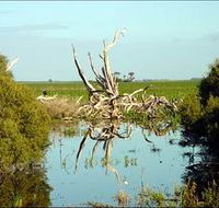 Bool Lagoon Game Reserve and Hacks Lagoon Conservation Park - Foster Accommodation