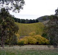 Mt Bera Vineyards - Foster Accommodation