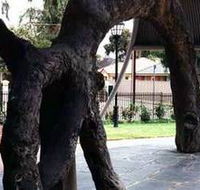 Old Gum Tree - Foster Accommodation
