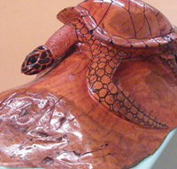 Ants Redgum Gallery - Foster Accommodation