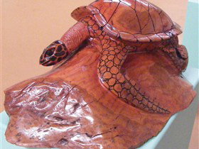 Ants Redgum Gallery - Foster Accommodation 0