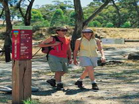 Riesling Trail - Foster Accommodation 0
