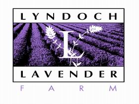 Lyndoch Lavender Farm And Cafe - Foster Accommodation 0