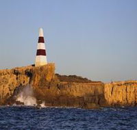 The Obelisk - Foster Accommodation