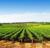 Aldinga Bay Winery - Foster Accommodation