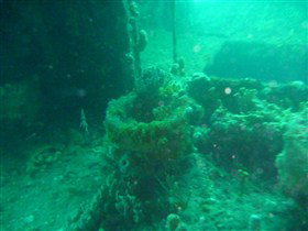 Wallaroo Scuba Club - Foster Accommodation 0