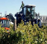 Ballast Stone Estate Wines Pty Ltd - Foster Accommodation