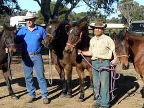Coffin Bay SA Foster Accommodation
