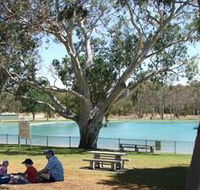 Naracoorte Nature Park and Swimming Lake - Foster Accommodation