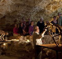 Naracoorte Caves National Park - Foster Accommodation