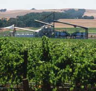 Kirrihill Wines - Foster Accommodation