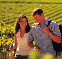 Lady Bay Vineyard - Foster Accommodation