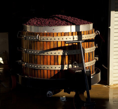 Greenock Creek Wines - Foster Accommodation 1