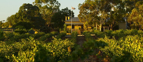 Greenock Creek Wines - Foster Accommodation 2