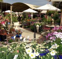 Serenity Nursery - Foster Accommodation