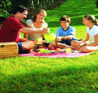 Bruny Island Berry Farm - Foster Accommodation