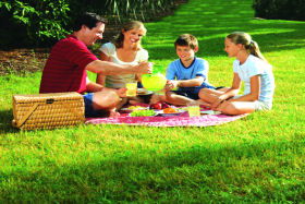 Bruny Island Berry Farm - Foster Accommodation 0