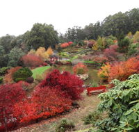 Emu Valley Rhododendron Garden - Foster Accommodation