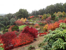 Emu Valley Rhododendron Garden - Foster Accommodation 0