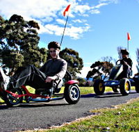 Pedal Buggies Tasmania - Foster Accommodation