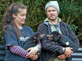 Cradle Mountain TAS Foster Accommodation