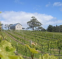 Bruny Island Premium Wines Bar and Grill - Foster Accommodation