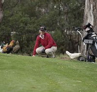 Tasmania Golf Club - The - Foster Accommodation