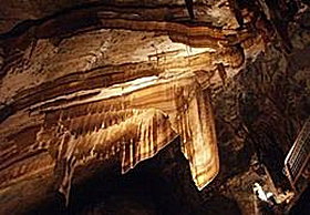 Gunns Plains Cave - Foster Accommodation 0