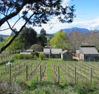 Wilmot Hills Vineyard - Foster Accommodation