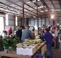 Burnie Farmers' Market - Foster Accommodation