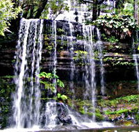 Mt Field National Park - Foster Accommodation