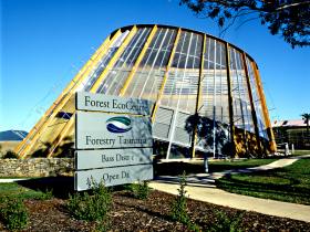 Forest EcoCentre - Foster Accommodation 0