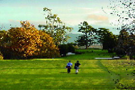 Hagley TAS Foster Accommodation