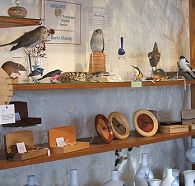 Touchwood Craft Gallery Gifts and Cafe - Foster Accommodation