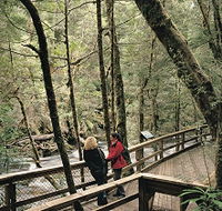 Franklin River Nature Trail - Foster Accommodation