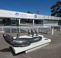 Australia's Antarctic Headquarters - Foster Accommodation