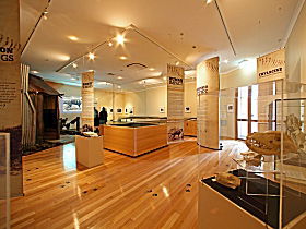 Tasmanian Tiger Exhibition - Foster Accommodation 0