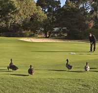 Royal Hobart Golf Club - Foster Accommodation