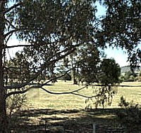 Cygnet Public Golf Course - Foster Accommodation